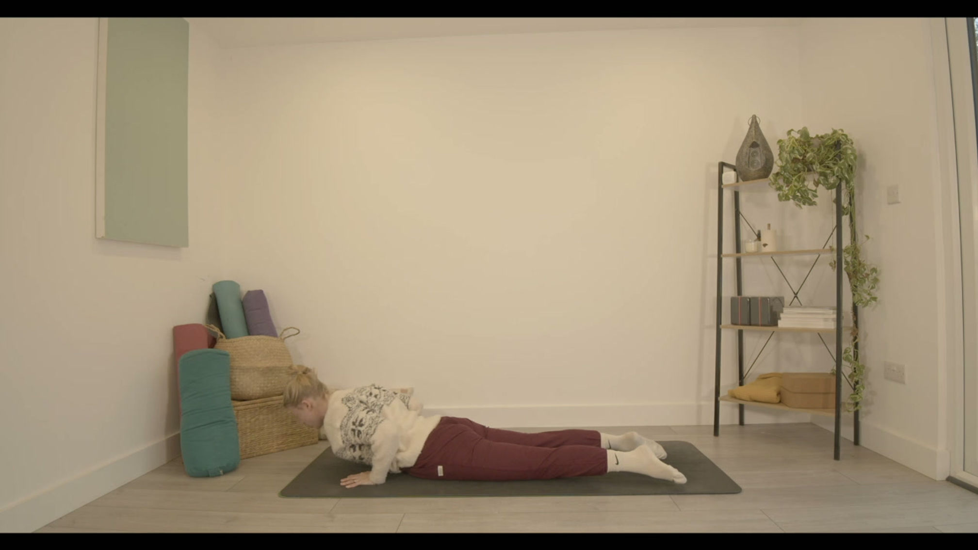 12 Days of Christmas - Find the light sun sals